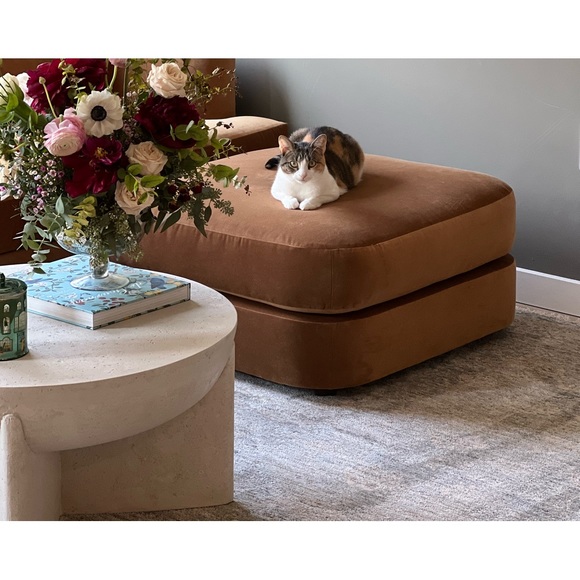 Meet your Posher, Gina - Picture 1 of 1